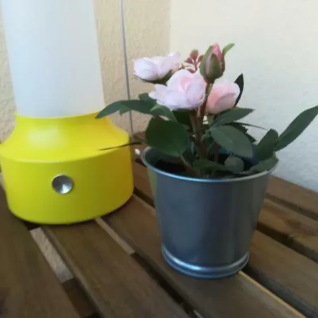 Apartamento Irís Pombal (Leiria)