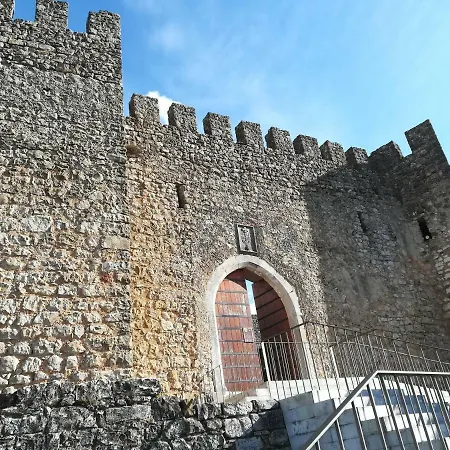 Irís Pombal (Leiria)